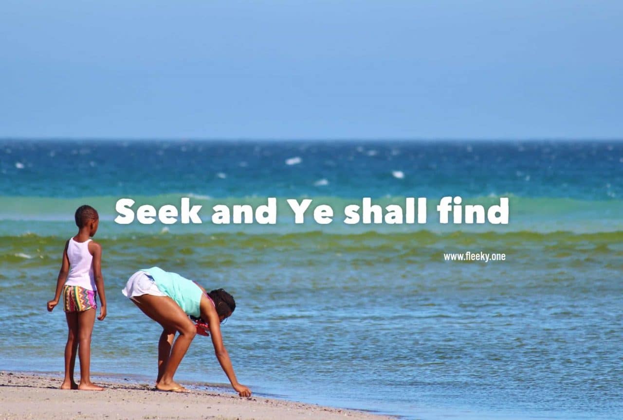 Seek and find