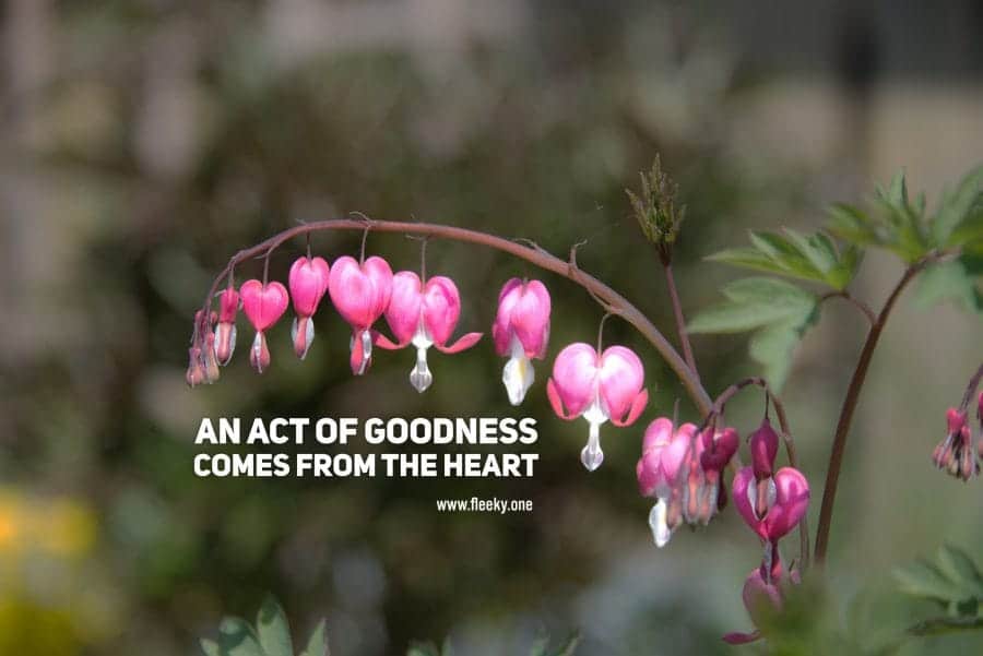 An act of goodness